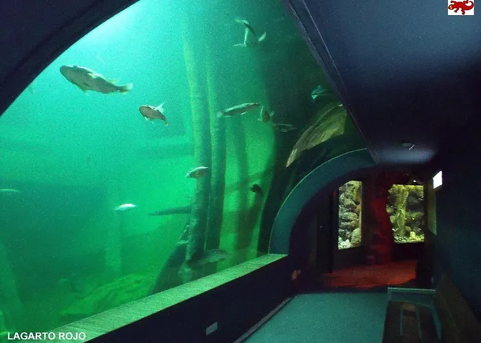 公寓 Check-in 24h Plaza Espana Amplio Centro Planta 4